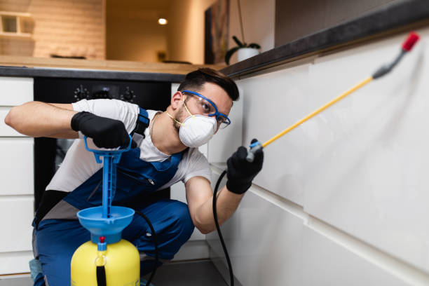 Best Wildlife Control Services  in Mount Penn, PA
