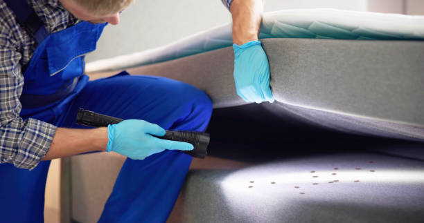Best Flea Control Services  in Mount Penn, PA