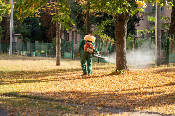 Best Local Pest Control Services  in Mount Penn, PA